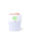 Aromatic Diffuser Boucher