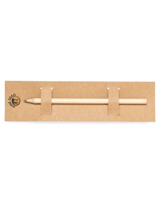 Seeds Pencil Etesio