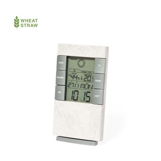 Weather Station Maginly