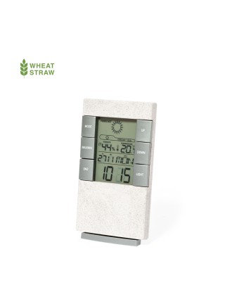 Weather Station Maginly