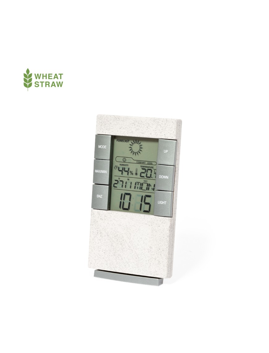 Weather Station Maginly