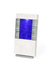 Weather Station Maginly