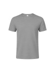 Adult Colour T-Shirt Seiyo