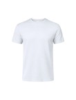 Adult White T-Shirt Seiyo