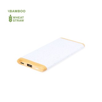 Power Bank Coquin