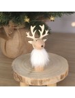 Christmas Decoration Guardens