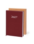 Diary Canek