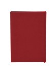 Diary Canek