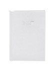 Diary Canek