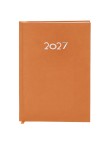 Diary Canek