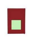 Diary Canek