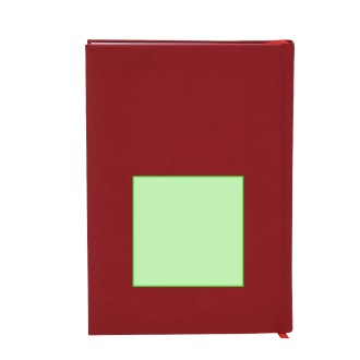 Diary Canek