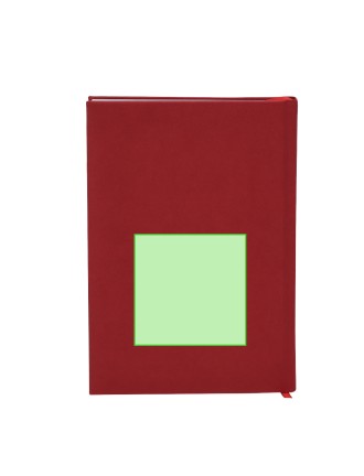 Diary Canek