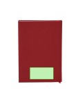Diary Canek