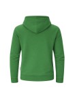 Adult Hooded Sweatshirt Dretius