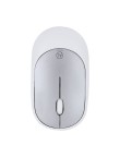 Mouse Doryt RCS