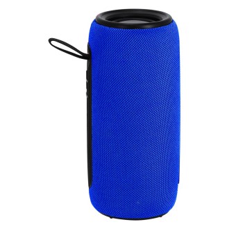 Speaker Hochok