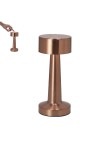 Lamp Rosity