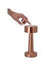 Lamp Rosity