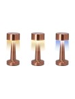 Lamp Rosity