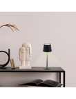 Lamp Tanik