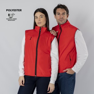 Vest Dervik