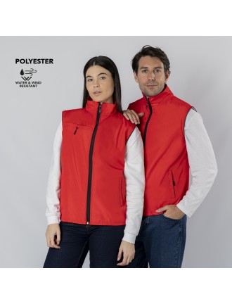 Vest Dervik