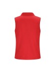 Vest Dervik