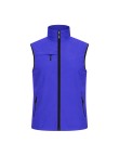Vest Dervik