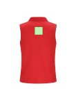 Vest Dervik