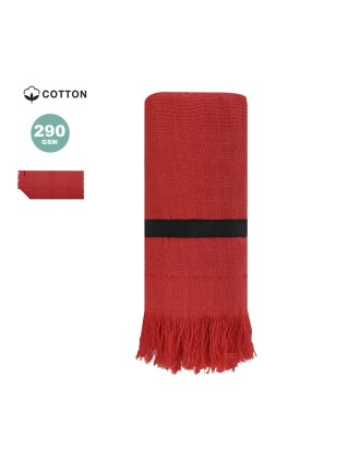 Towel Brisly