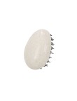Anti-Tangle Hairbrush Nymar