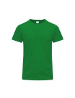 Adult Colour T-Shirt Stiles
