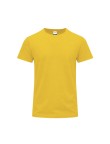 Adult Colour T-Shirt Stiles