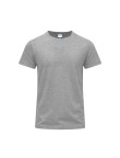 Adult Colour T-Shirt Stiles