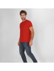 Adult Colour T-Shirt Perkins