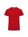 Adult Colour T-Shirt Perkins
