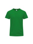 Adult Colour T-Shirt Perkins