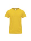 Adult Colour T-Shirt Perkins