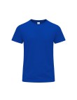 Adult Colour T-Shirt Perkins