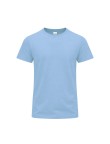 Adult Colour T-Shirt Perkins