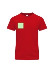 Adult Colour T-Shirt Perkins