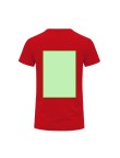 Adult Colour T-Shirt Perkins