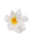 Hair Clip Tixcon