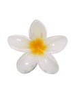 Hair Clip Tixcon