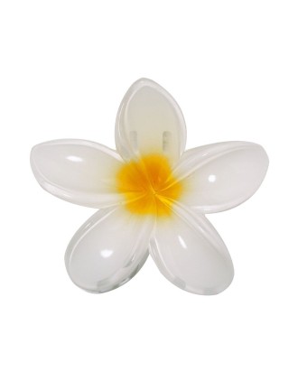 Hair Clip Tixcon