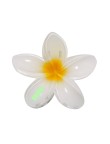 Hair Clip Tixcon