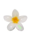 Hair Clip Tixcon