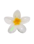 Hair Clip Tixcon