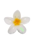 Hair Clip Tixcon
